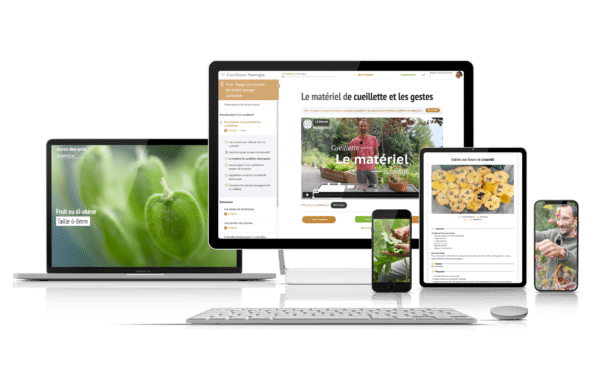 Formation en ligne Introduction à la cueillette des plantes sauvages comestibles